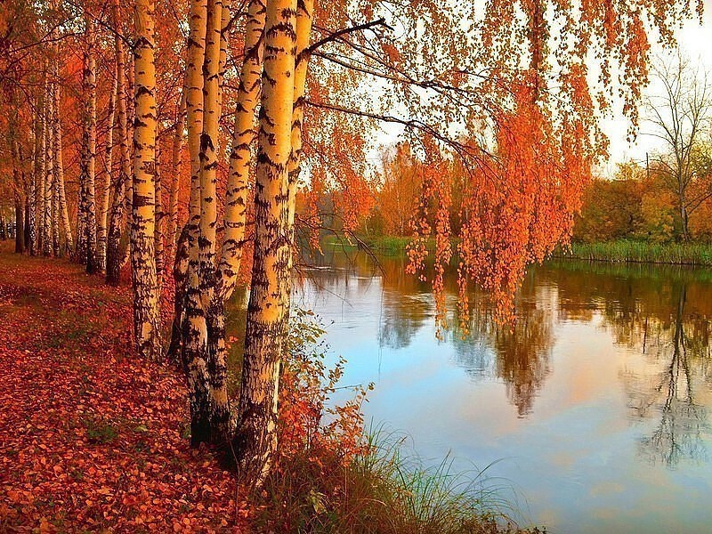 Листая октября страницы.