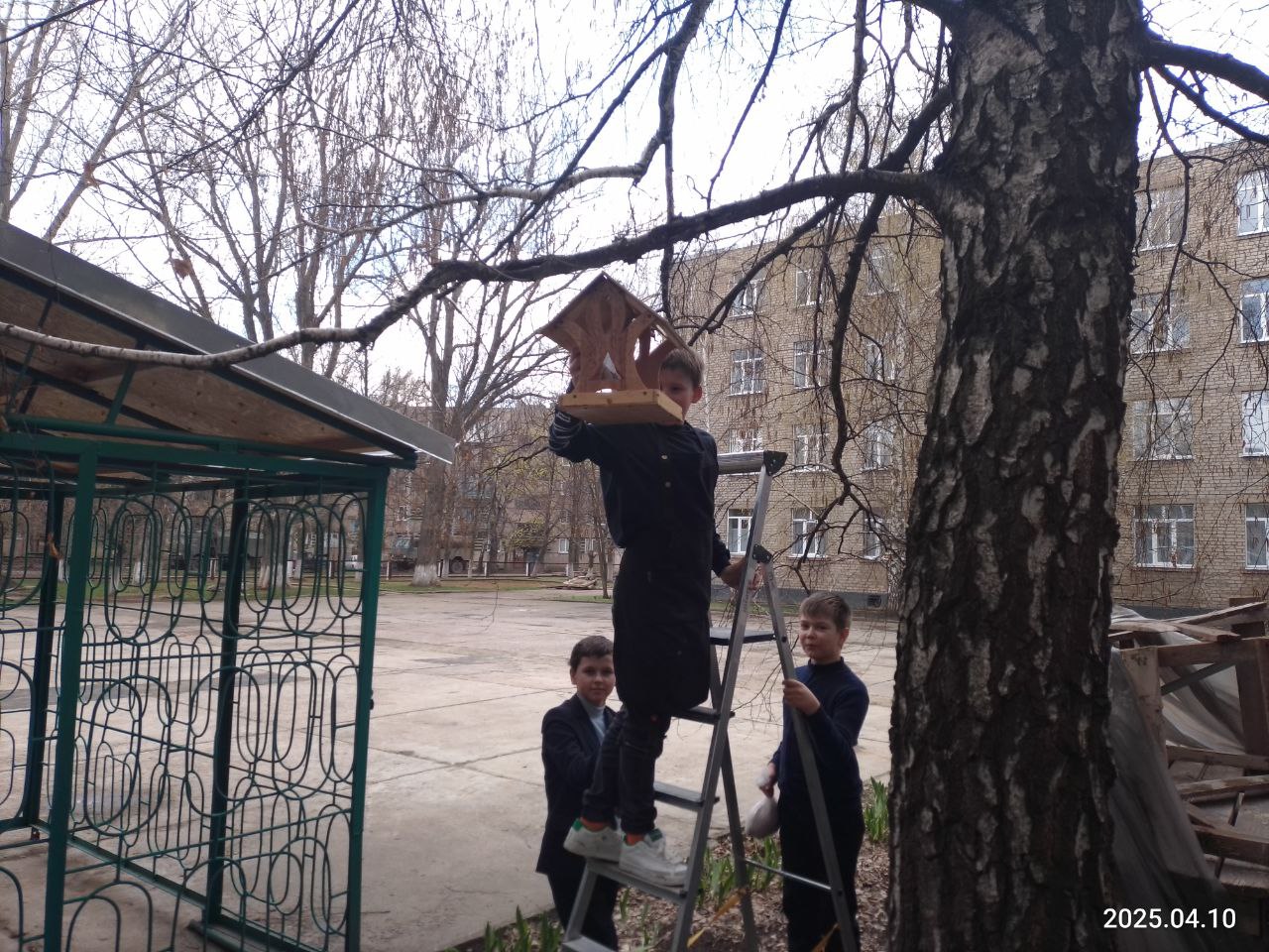 Пернатые друзья.